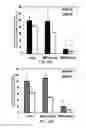 Fig. 18 - Multifunctional nanoparticle systems and methods for cancer diagnosis and combination therapy