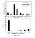Fig. 19 - Multifunctional nanoparticle systems and methods for cancer diagnosis and combination therapy
