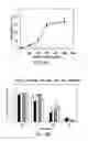 Fig. 20 - Multifunctional nanoparticle systems and methods for cancer diagnosis and combination therapy