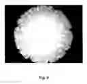 Fig. 07 - Tamper resistant dosage forms
