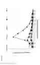 Fig. 17 - NANOPARTICLES FOR DERMAL AND SYSTEMIC DELIVERY OF DRUGS