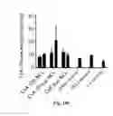 Fig. 23 - NANOPARTICLES FOR DERMAL AND SYSTEMIC DELIVERY OF DRUGS