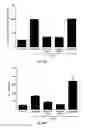 Fig. 26 - NANOPARTICLES FOR DERMAL AND SYSTEMIC DELIVERY OF DRUGS