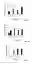 Fig. 28 - NANOPARTICLES FOR DERMAL AND SYSTEMIC DELIVERY OF DRUGS