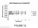 Fig. 14 - COMPOSITIONS AND METHODS FOR INTRADERMAL VACCINE DELIVERY