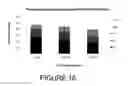 Fig. 17 - COMPOSITIONS AND METHODS FOR INTRADERMAL VACCINE DELIVERY
