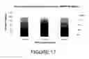 Fig. 18 - COMPOSITIONS AND METHODS FOR INTRADERMAL VACCINE DELIVERY