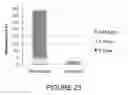 Fig. 24 - COMPOSITIONS AND METHODS FOR INTRADERMAL VACCINE DELIVERY