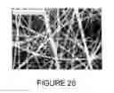 Fig. 27 - COMPOSITIONS AND METHODS FOR INTRADERMAL VACCINE DELIVERY