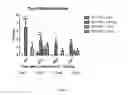 Fig. 08 - Induced expression of brain derived neurotrophic factor (BDNF) for treatment of neuromuscular, neurodegenerative, autoimmune, developmental and/or metabolic diseases