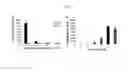 Fig. 03 - Methods and compositions for treating infection