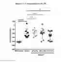 Fig. 03 - METHOD OF TREATING IDIOPATHIC PULMONARY FIBROSIS