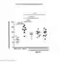 Fig. 04 - METHOD OF TREATING IDIOPATHIC PULMONARY FIBROSIS