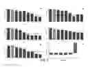 Fig. 08 - BIS-cyclic guanidine compound compositions, methods of use and treatment thereof