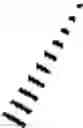 Fig. 97 - BIS-cyclic guanidine compound compositions, methods of use and treatment thereof