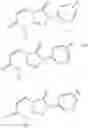 Fig. 52 - Fumarate analogs and uses thereof