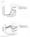 Fig. 02 - Pharmaceutical compositions comprising glitazones and NRF2 activators
