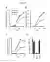 Fig. 04 - Antiviral axin stabilizer
