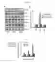 Fig. 06 - Antiviral axin stabilizer