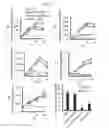 Fig. 07 - Antiviral axin stabilizer