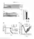 Fig. 10 - Antiviral axin stabilizer