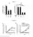 Fig. 12 - Antiviral axin stabilizer