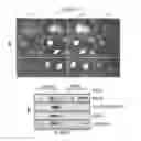 Fig. 14 - Antiviral axin stabilizer
