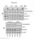 Fig. 15 - Antiviral axin stabilizer
