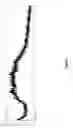 Fig. 06 - Salts and solid form of a BTK inhibitor