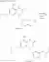 Fig. 178 - MODULATORS OF TOLL-LIKE RECEPTORS