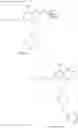 Fig. 294 - MODULATORS OF TOLL-LIKE RECEPTORS