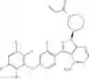 Fig. 09 - Polyfluorinated compounds acting as bruton tyrosine kinase inhibitors