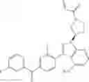 Fig. 110 - Polyfluorinated compounds acting as bruton tyrosine kinase inhibitors