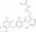 Fig. 124 - Polyfluorinated compounds acting as bruton tyrosine kinase inhibitors