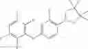 Fig. 368 - Polyfluorinated compounds acting as bruton tyrosine kinase inhibitors