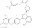 Fig. 433 - Polyfluorinated compounds acting as bruton tyrosine kinase inhibitors