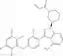 Fig. 70 - Polyfluorinated compounds acting as bruton tyrosine kinase inhibitors