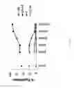 Fig. 03 - Transient protection of normal cells during chemotherapy