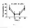 Fig. 11 - Transient protection of normal cells during chemotherapy