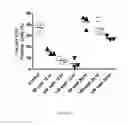 Fig. 13 - Transient protection of normal cells during chemotherapy