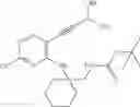 Fig. 229 - Transient protection of normal cells during chemotherapy