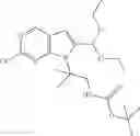 Fig. 308 - Transient protection of normal cells during chemotherapy