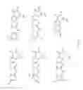 Fig. 49 - Transient protection of normal cells during chemotherapy