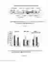 Fig. 14 - Methods to treat visual impairment