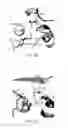 Fig. 04 - Compositions and methods for inhibition of mycobacteria