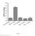 Fig. 06 - COMPOUNDS WITH TRPV4 ACTIVITY, COMPOSITIONS AND ASSOCIATED METHODS THEREOF