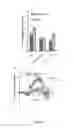 Fig. 19 - COMPOUNDS WITH TRPV4 ACTIVITY, COMPOSITIONS AND ASSOCIATED METHODS THEREOF