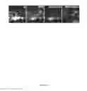 Fig. 25 - COMPOUNDS WITH TRPV4 ACTIVITY, COMPOSITIONS AND ASSOCIATED METHODS THEREOF