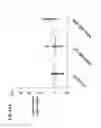 Fig. 30 - Method of treating triple-negative breast cancer using thienotriazolodiazepine compounds