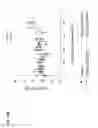 Fig. 33 - Method of treating triple-negative breast cancer using thienotriazolodiazepine compounds